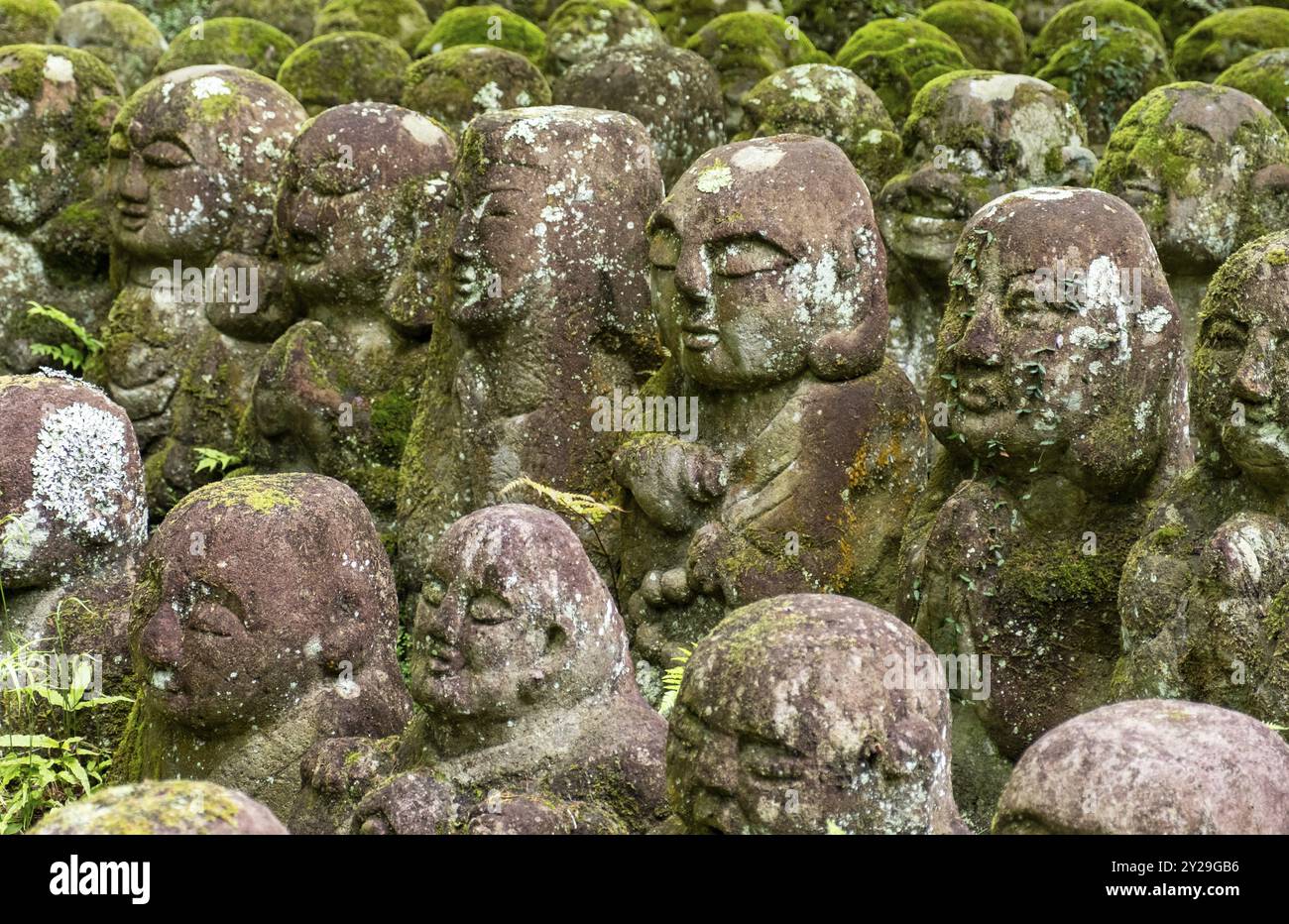 Moosbedeckte Steinstatuen von Rakanen, den Jüngern Buddhas, dem Otagi Nenbutsu-JI-Tempel, Kyoto, Japan, Asien Stockfoto