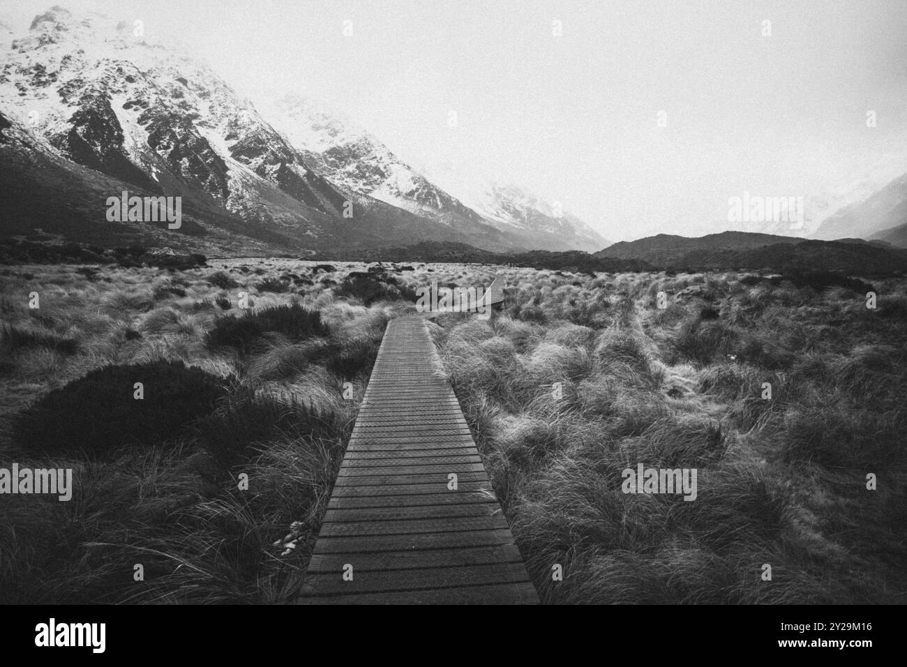 Langer Holzweg durch grasbewachsene Landschaft mit schneebedeckten Bergen im Hintergrund in Schwarz-weiß, Hooker Valley Track, Neuseeland, Oceani Stockfoto