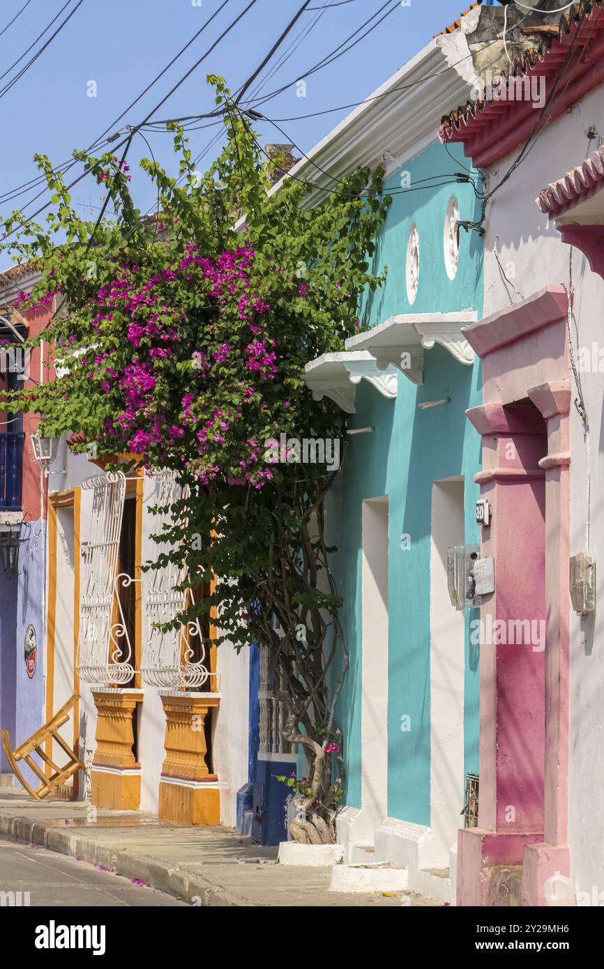 Typische traditionelle, farbenfrohe Gebäude mit blühenden Plänen an der Fassade ein sonniger Tag in der Altstadt, Cartagena, Kolumbien, Südamerika Stockfoto