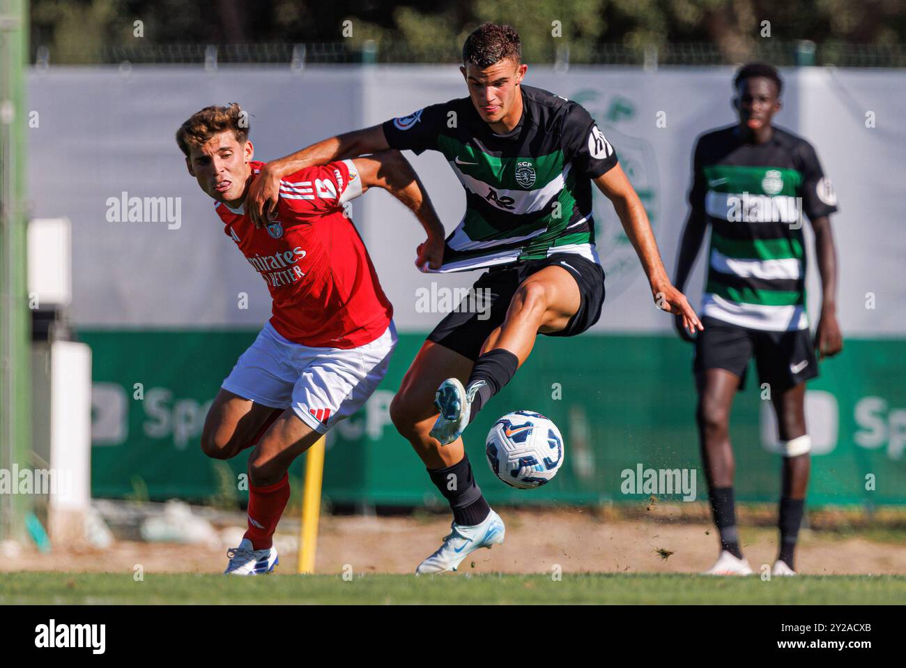 Alcochete, Portugal. August 2024. (L-R) Martim Ferreira (SL Benfica) und Gabriel Melo (Sporting CP) im Spiel der Liga Revelacao zwischen den Teams Sporting CP und SL Benfica im Estadio Aurelio Pereira. Sporting u23 vs. SL Benfica u23; Endpunktzahl 1:0 (Foto: Maciej Rogowski/SOPA Images/SIPA USA) Credit: SIPA USA/Alamy Live News Stockfoto