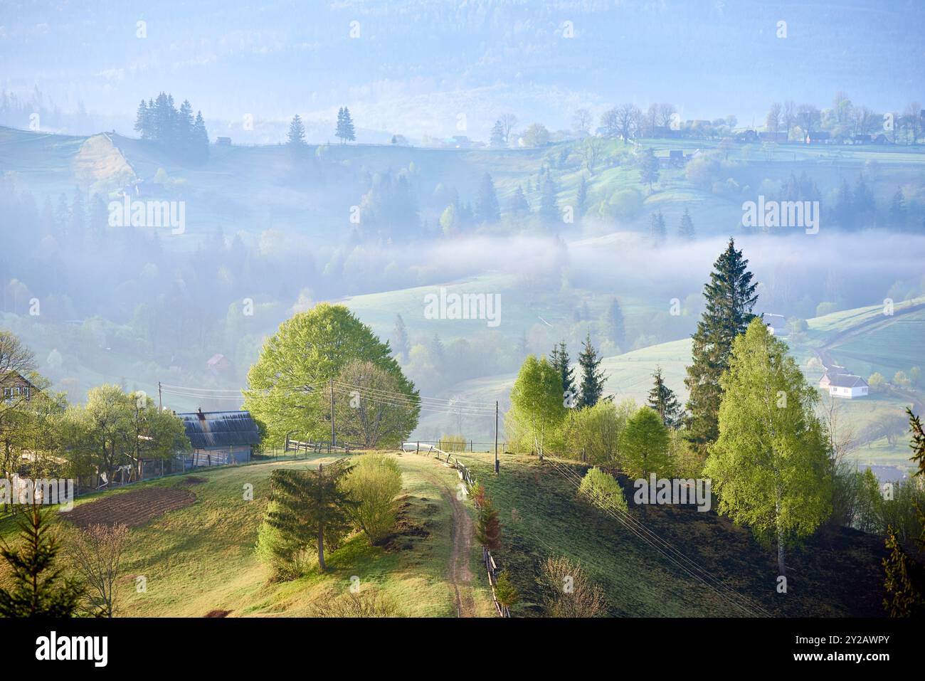 Ruhige Landschaft am Morgen mit Nebel über sanfte Hügel. Das Sonnenlicht zieht durch und hebt das gemütliche Bauernhaus hervor, das von üppigen Bäumen umgeben ist. Verstreute Häuser und verwinkelte Wege, nebelbedeckte Täler. Stockfoto