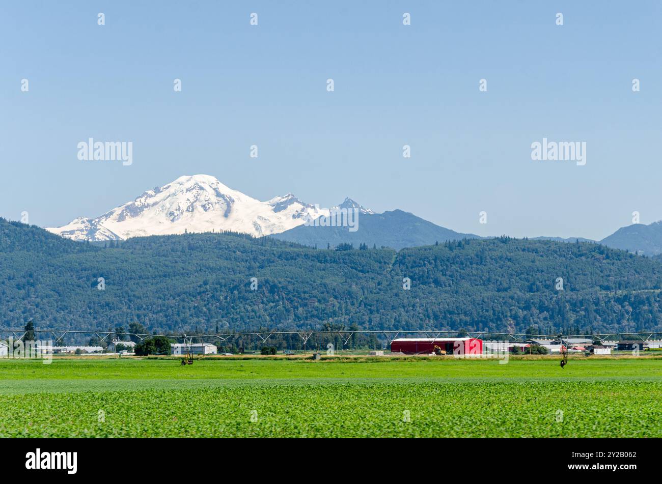 Landwirtschaftsbetriebe in Mission, Fraser Valley, British Columbia, Kanada. MT Baker ist im Hintergrund zu sehen Stockfoto