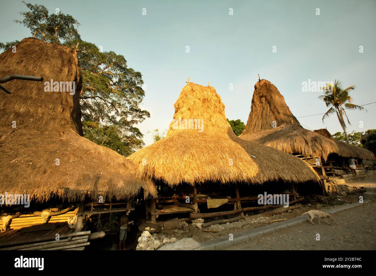 Traditionelle Häuser im traditionellen Dorf Tarung in Soba Wawi, Loli, Waikabubak, West Sumba, East Nusa Tenggara, Indonesien. Stockfoto