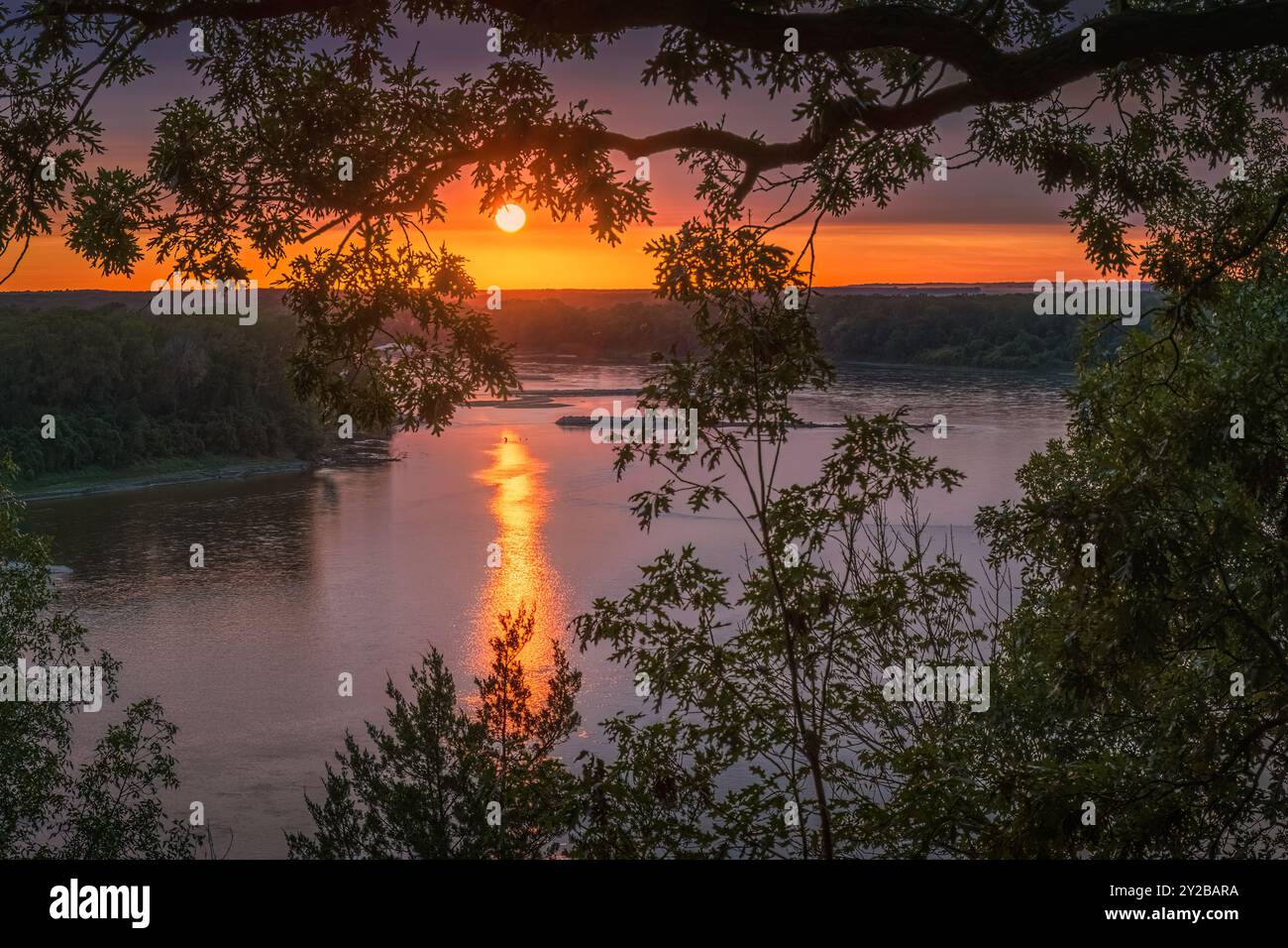 Wunderschöner Blick auf den Sonnenuntergang über dem breiten Fluss, eingerahmt von Blättern großer Bäume; Sonnenlicht reflektiert sich im Wasser Stockfoto