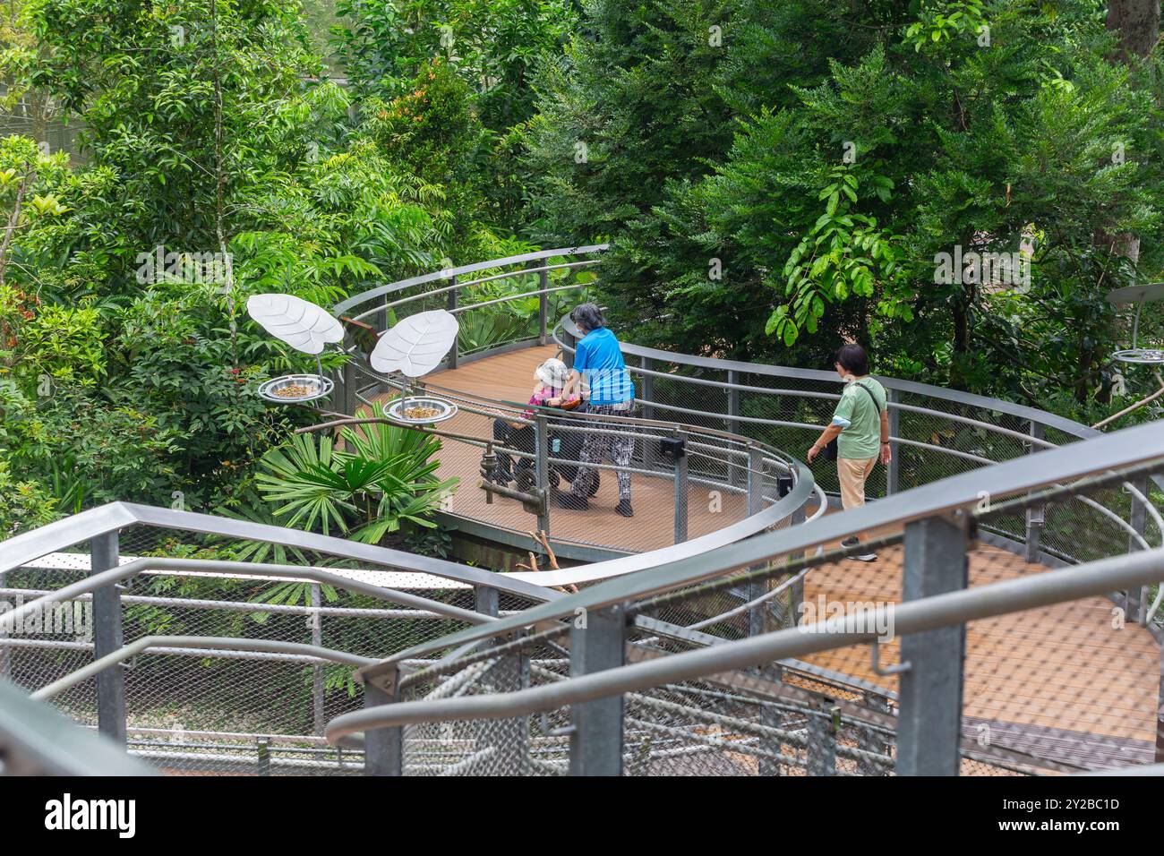 Bird Paradise ist rollstuhlgerecht mit glatten, gepflasterten Wegen im gesamten Park und freiem Blick auf die Umgebung. Singapur. Stockfoto