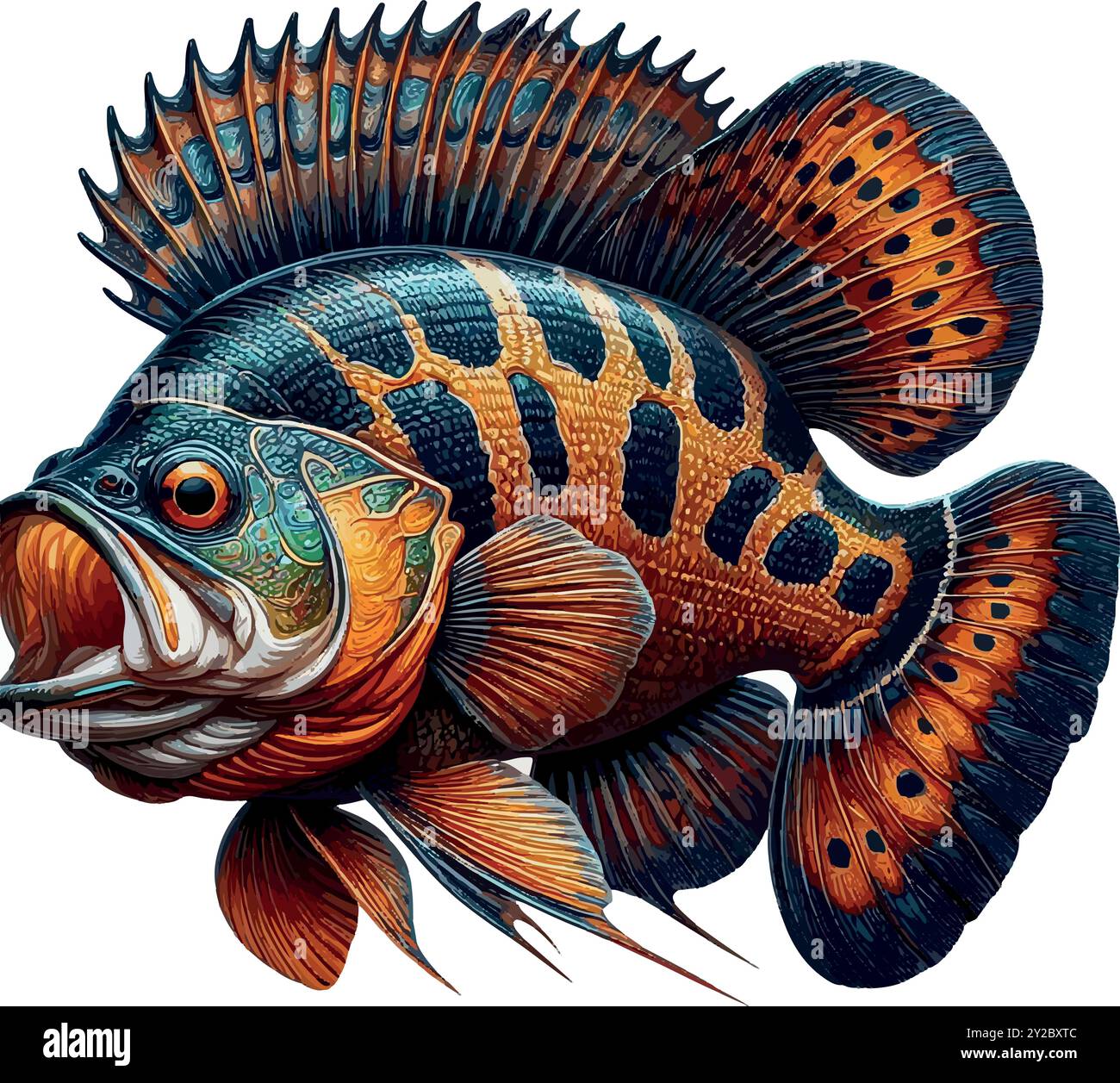 Erkunden Sie die Welt des Peacock Bass Fish, Südamerikas farbenfrohe Raubtier, bekannt für seine Kraft und Schönheit. Ein muss für trophäensuchende Angler! Stock Vektor