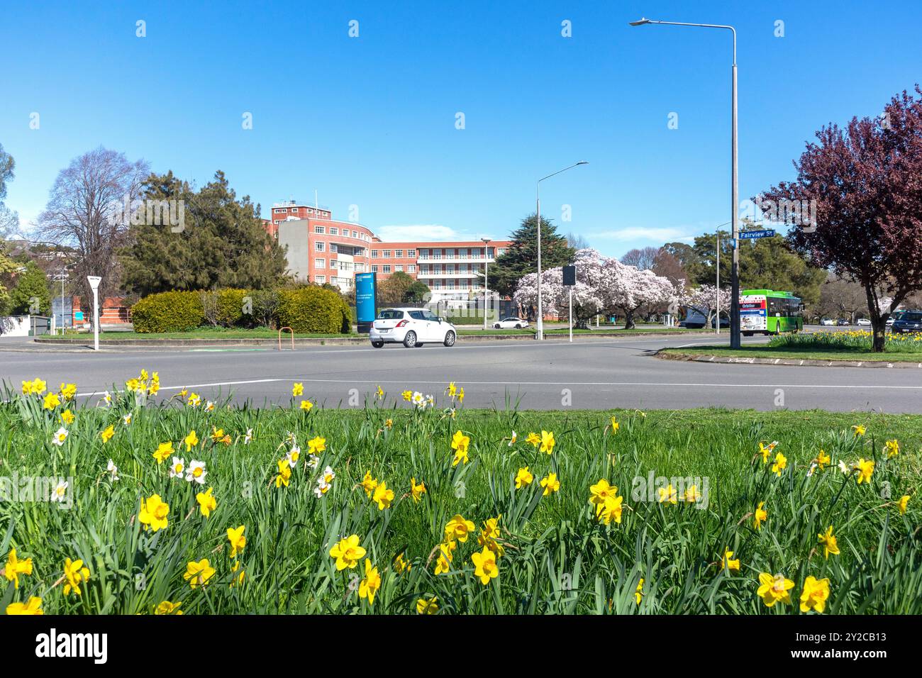 Straßenszene mit Frühlingsblumen, Cashmere Road, Cashmere, Christchurch (Ōtautahi), Canterbury, Neuseeland Stockfoto