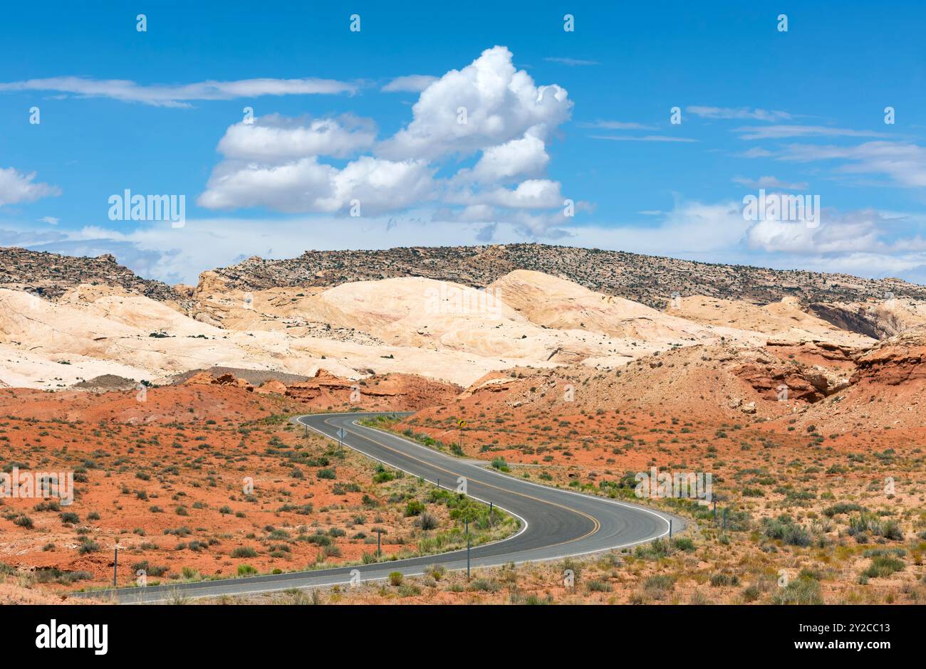 Gewundene Straße durch die Wüste des Canyons. Canyon Road in der Wüste. Canyon Desert Road. Straße in der Wüste des Canyons Stockfoto
