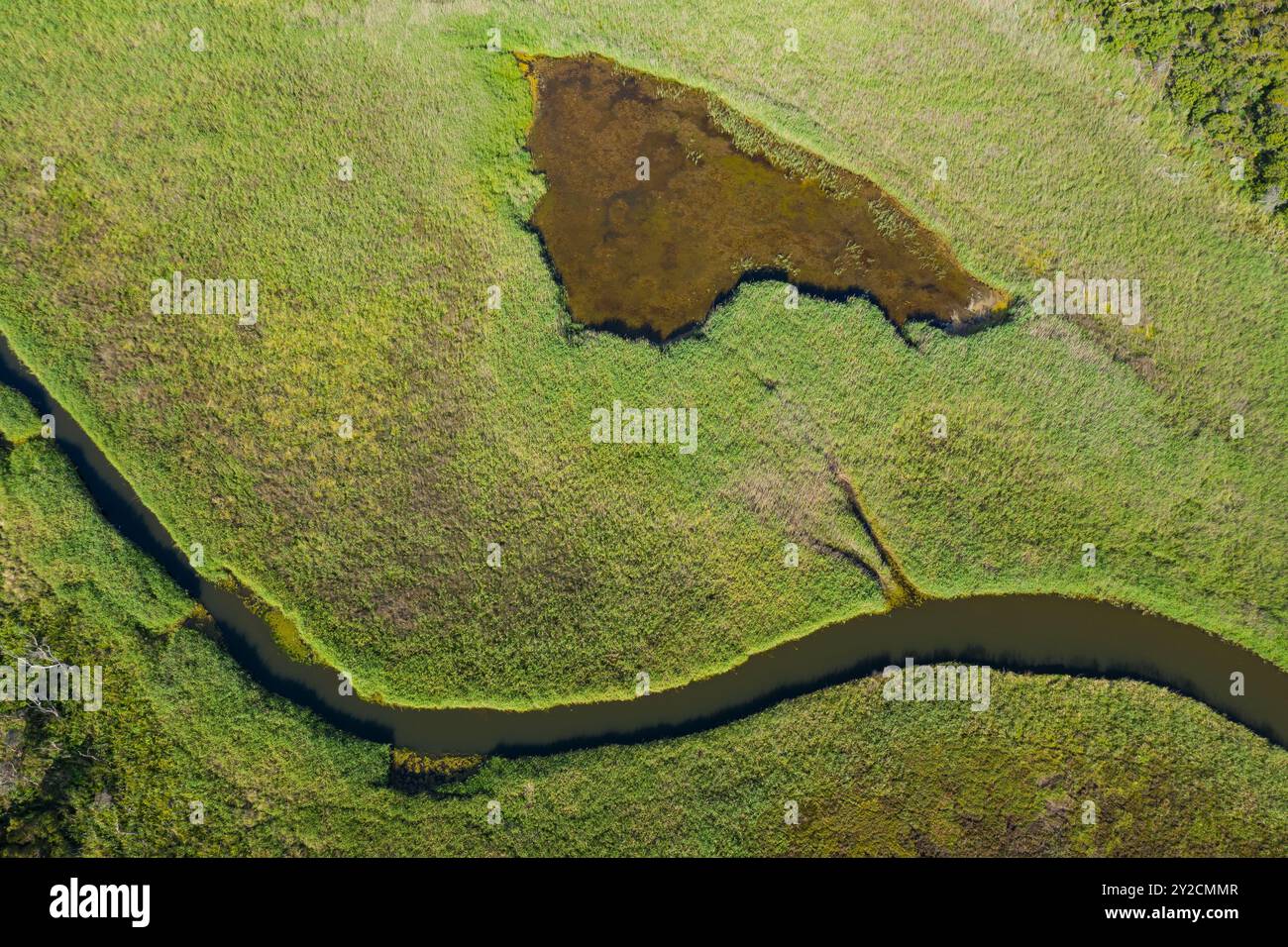Aus der Vogelperspektive auf einen Süßwasserbach, der sich durch saftig grüne Feuchtgebiete in Port Campbell an der Great Ocean Road in Victoria, Australien schlängelt. Stockfoto