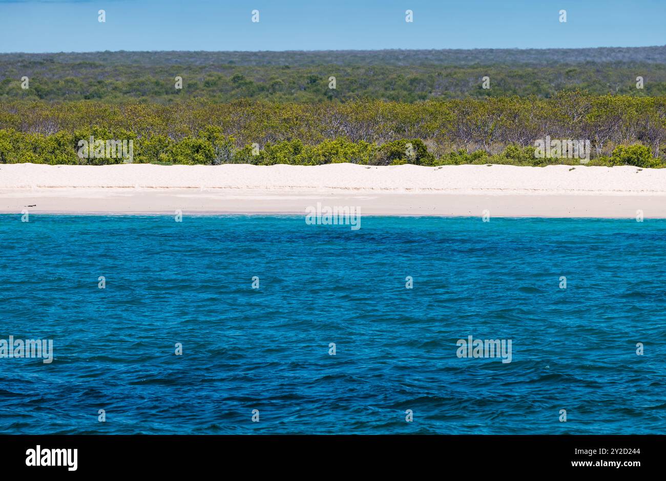 Sandiger, leerer Strandblick, Santa Cruz Island, Galapagos Stockfoto