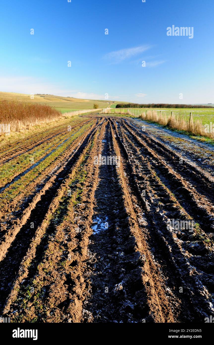 Gefrorene Spuren entlang einer öffentlichen Straße in den Wiltshire Downs. Stockfoto