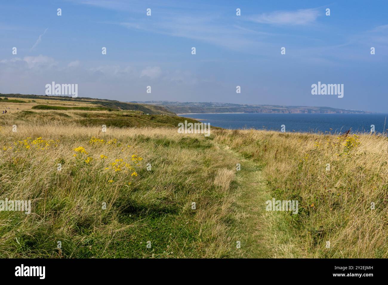 Blackhall Rocks an der Küste von County Durham Stockfoto