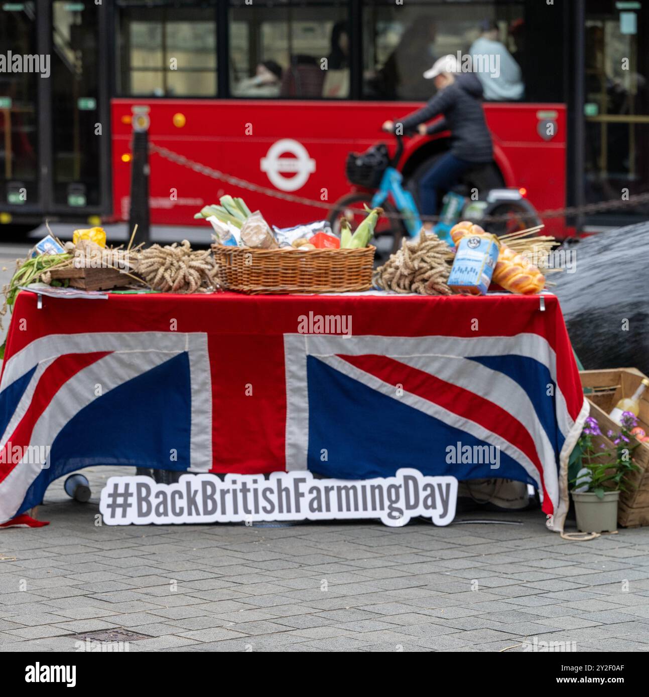 London, Großbritannien. September 2024. Vor dem Back British Farming Day am 11. September hat die National Farmers Union (NFU) einen Massy Ferguson Traktor und eine Ausstellung nach Old Palace Yard, Westminster London, gebracht Stockfoto