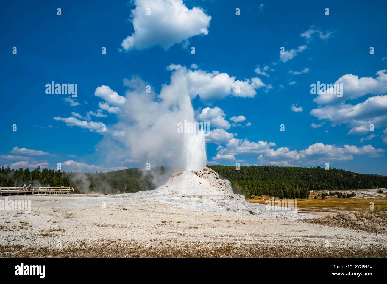 Der Castle Geyser im Yellowstone-Nationalpark bricht im Herbst 2024 aus, wobei kochendes Wasser und Dampf 75 Meter in die Luft schießen Stockfoto