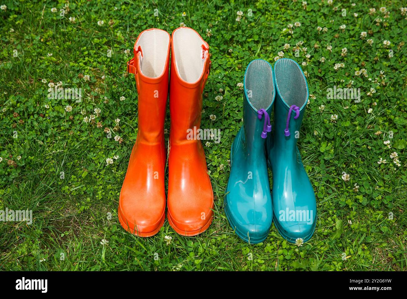 Zwei Paar Gummistiefel auf grünem Gras im Freien Stockfoto
