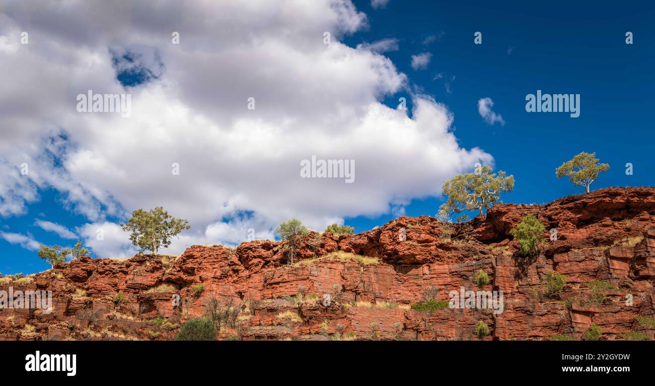 Ein felsiger, felsiger Kamm mit Gummibäumen, die entlang seines Kamms verstreut sind, bildet einen kontrastreichen Vordergrund zu einem wolkenblauen Horizont. Stockfoto