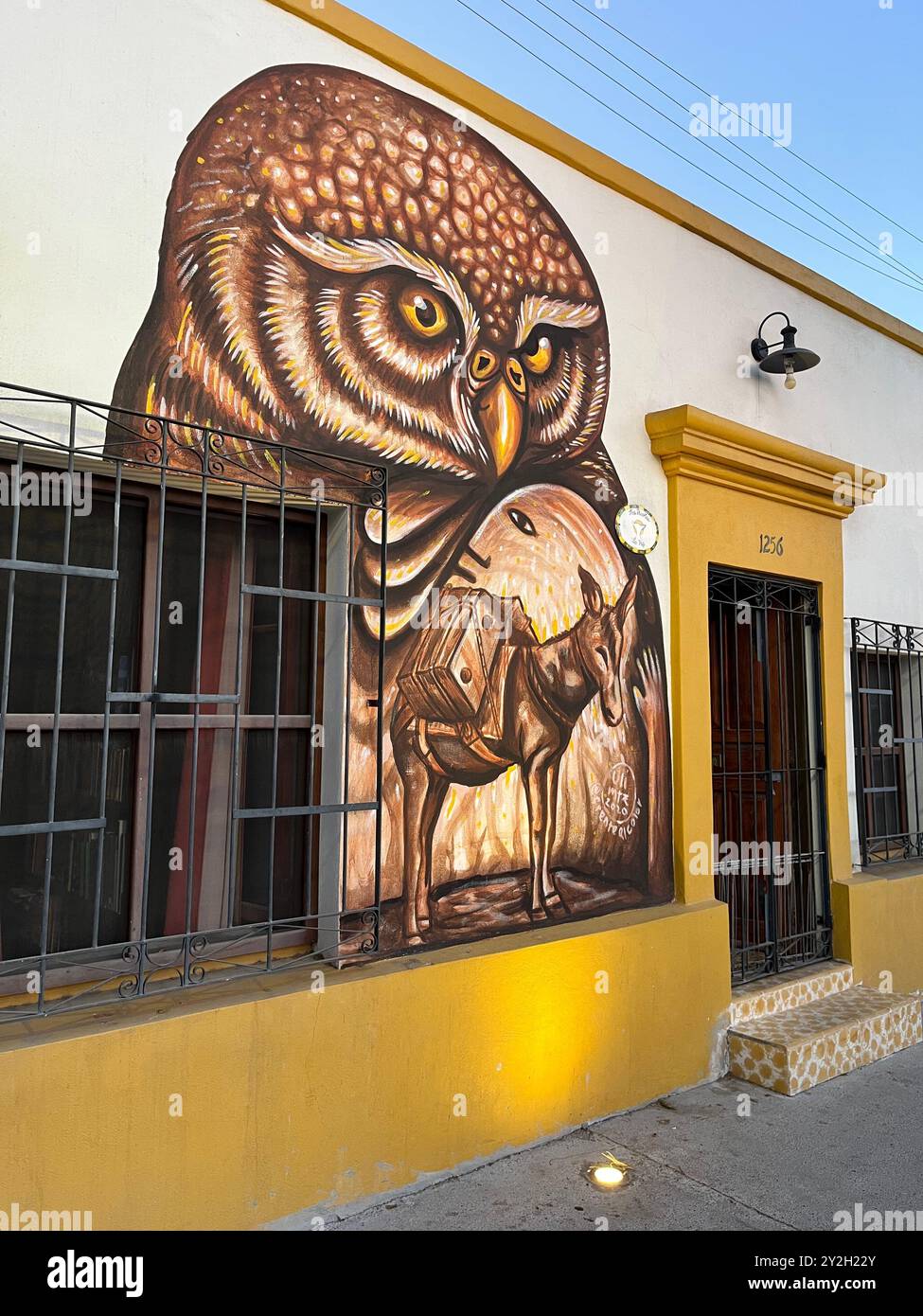 Eulen- und Eselbilder in La Paz, BCS, Mexiko. Farbenfrohe und realistische Wandbilder an einer Hauswand. Stockfoto
