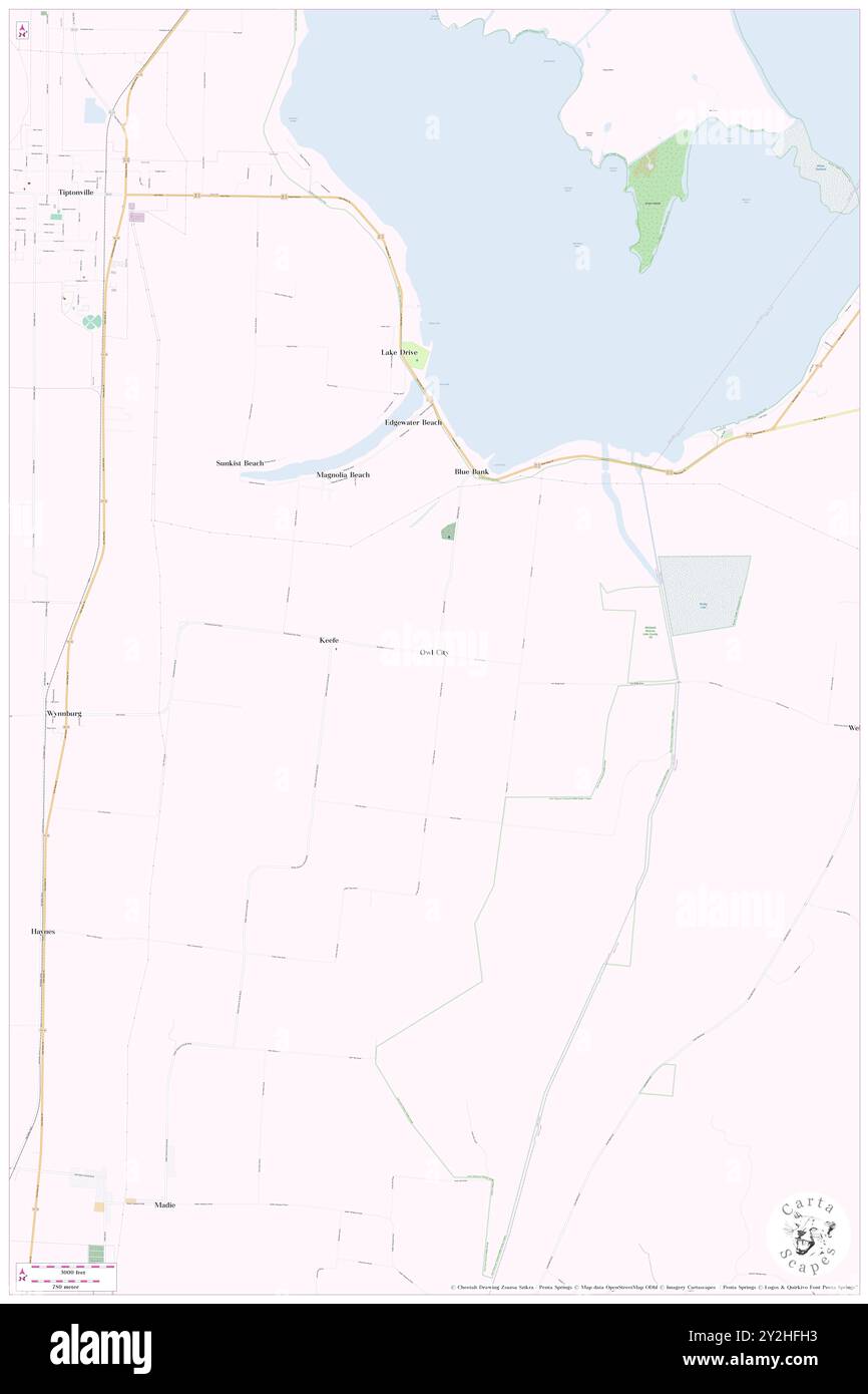 Owl City, Lake County, USA, USA, Tennessee, n 36 20' 4''', S 89 25' 46'', Karte, Cartascapes Map, veröffentlicht 2024. Erkunden Sie Cartascapes, eine Karte, die die vielfältigen Landschaften, Kulturen und Ökosysteme der Erde enthüllt. Reisen Sie durch Zeit und Raum und entdecken Sie die Verflechtungen der Vergangenheit, Gegenwart und Zukunft unseres Planeten. Stockfoto