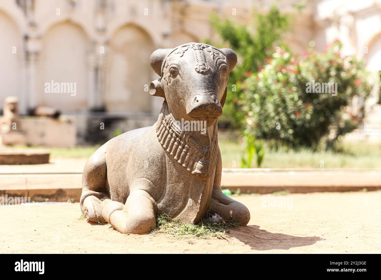Thanjavur Big Temple, Brihadisvara Tempel, Chola Architectural, Nandhi Stockfoto