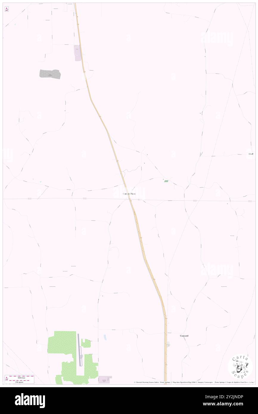 Cotton Plant, Tippah County, USA, USA, Mississippi, n 34 36' 1'', S 89 0' 16'', Karte, Cartascapes Map, veröffentlicht 2024. Erkunden Sie Cartascapes, eine Karte, die die vielfältigen Landschaften, Kulturen und Ökosysteme der Erde enthüllt. Reisen Sie durch Zeit und Raum und entdecken Sie die Verflechtungen der Vergangenheit, Gegenwart und Zukunft unseres Planeten. Stockfoto