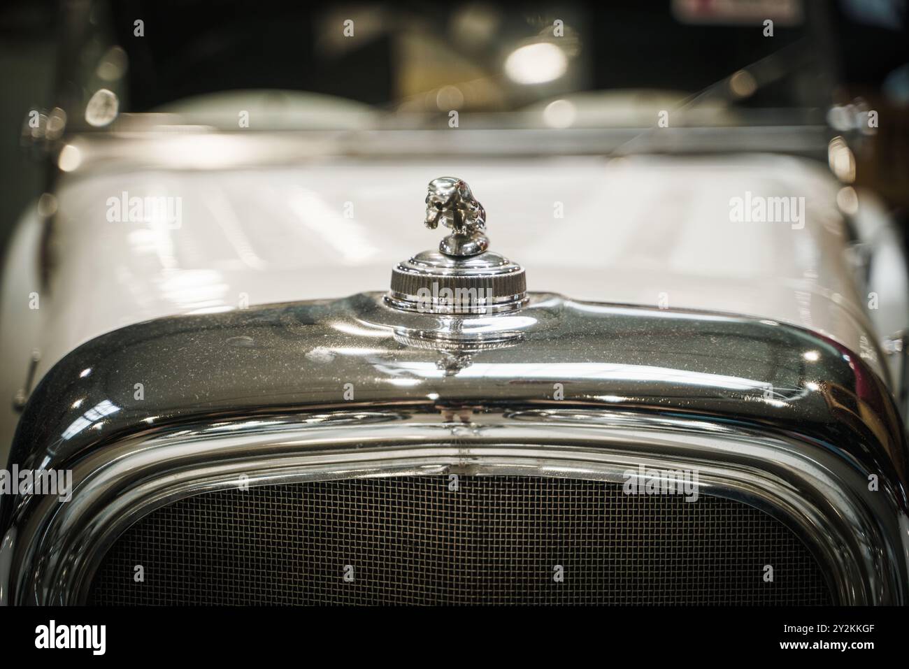Verchromtes Jaguar-Kapuzenverzierung am Oldtimer. Hochwertiges Foto Nahaufnahme einer verchromten Jaguar Motorhaubenverzierung, die elegant auf der Motorhaube eines Vintage C thront Stockfoto