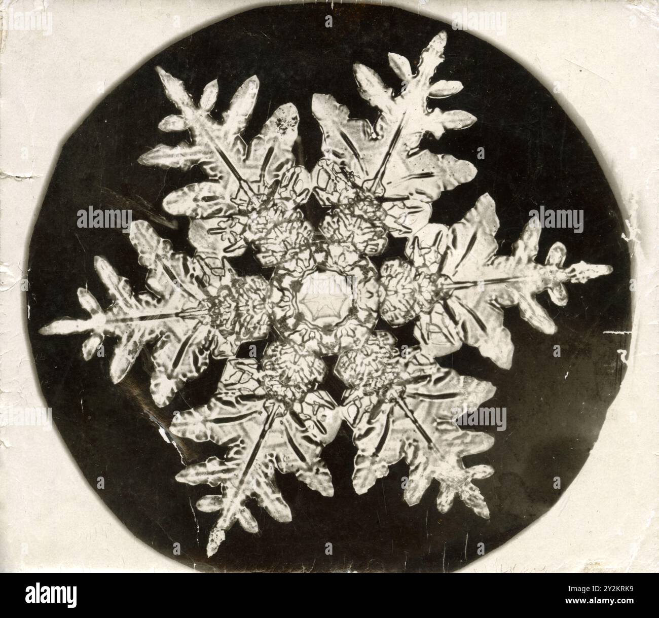 Photomikrographie einer Schneeflocke von Wilson Bentley um 1890 Stockfoto