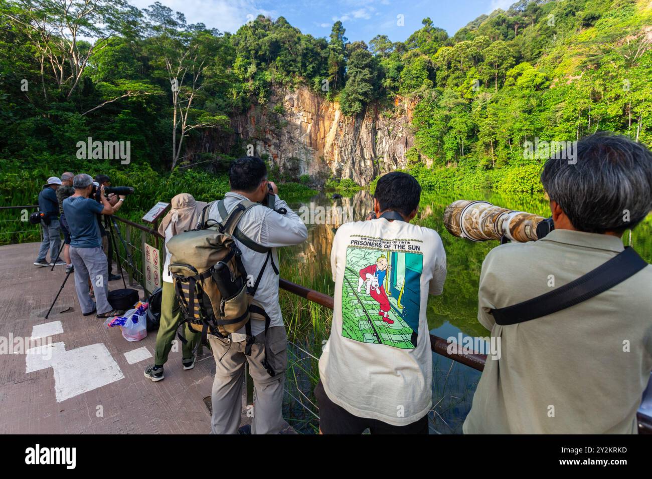 Eine große Gruppe von Fotografen verbrachte lange Stunden damit, Tierfotos von Weißbauchseeadlern zu machen, die in Aktion im Steinbruch jagten. Singapur. Stockfoto