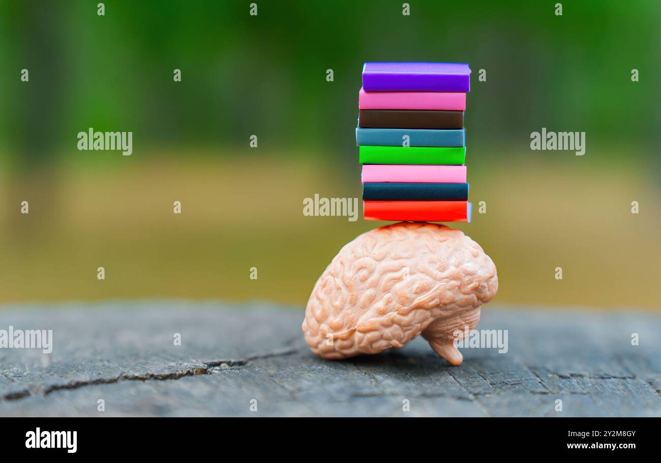 Anatomische menschliche Gehirnfigur, die einen Stapel bunter Bücher auf einem Stumpf im Park ausbalanciert, die den Spaß und die Bedeutung von Wissen und E repräsentieren Stockfoto