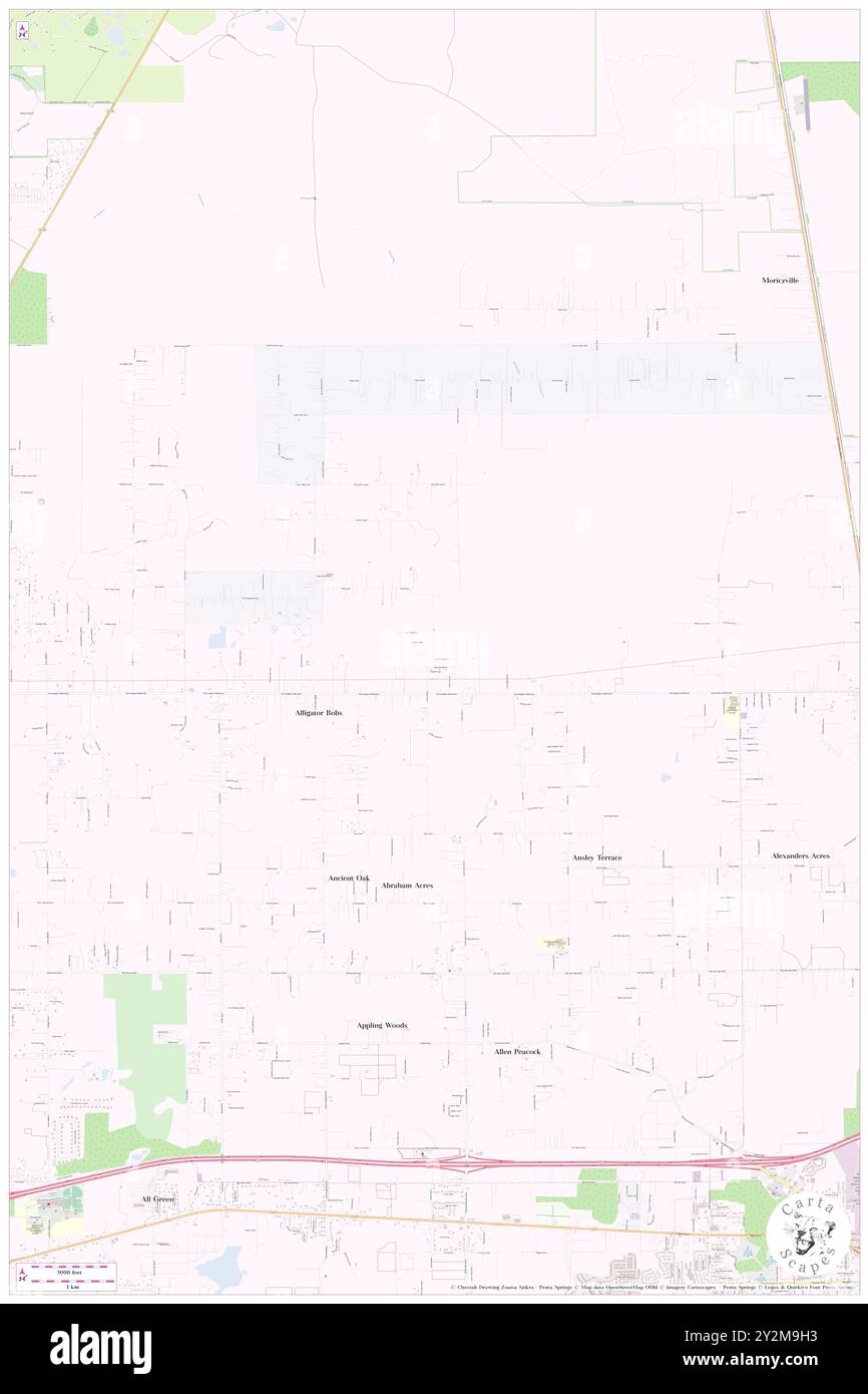 Cooks Cove, Hillsborough County, USA, USA, Florida, n 28 4' 50'', S 82 11' 26'', Karte, Cartascapes Map, veröffentlicht 2024. Erkunden Sie Cartascapes, eine Karte, die die vielfältigen Landschaften, Kulturen und Ökosysteme der Erde enthüllt. Reisen Sie durch Zeit und Raum und entdecken Sie die Verflechtungen der Vergangenheit, Gegenwart und Zukunft unseres Planeten. Stockfoto