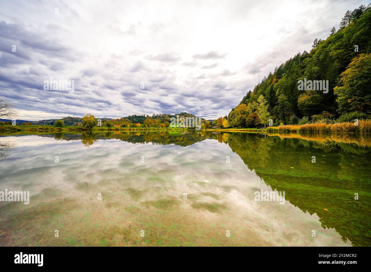 Pappelwaldsee bei Berghaupten im Schwarzwald. Idyllische Herbstlandschaft am See. Pappelwaldsee. Stockfoto