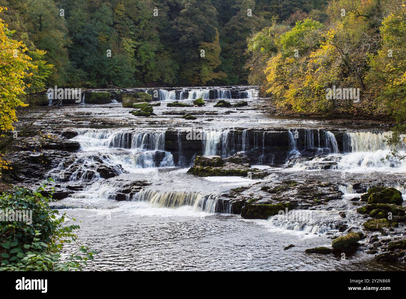 Die Upper Falls bei Aysgarth Falls, Wensleydale, North Yorkshire. Die Aysgarth Falls sind eine Reihe von Wasserfällen am Fluss Uure. Stockfoto