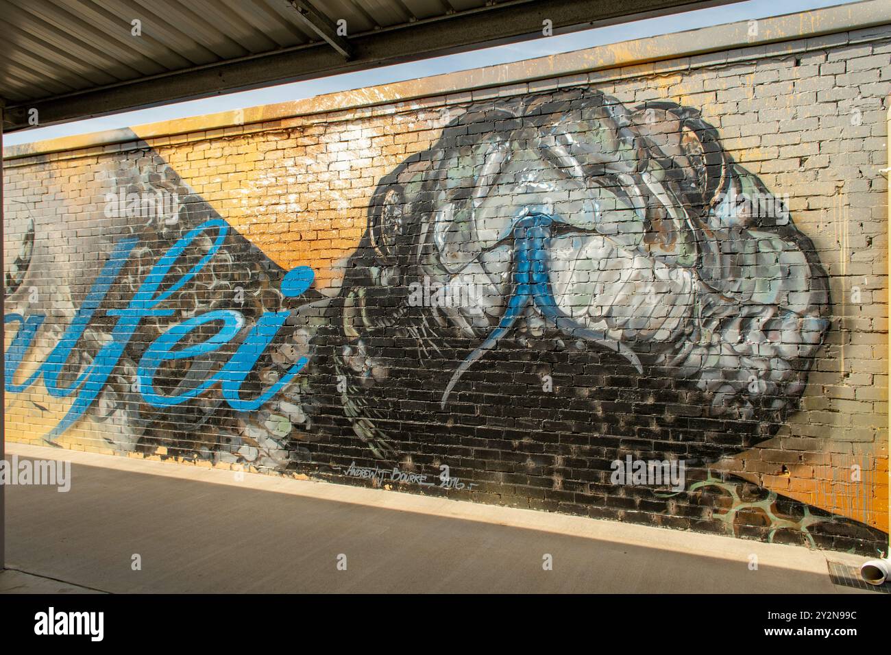 Inland Carpet Python Street Art von Andrew Bourke, Woomelang, Victoria, Australien Stockfoto