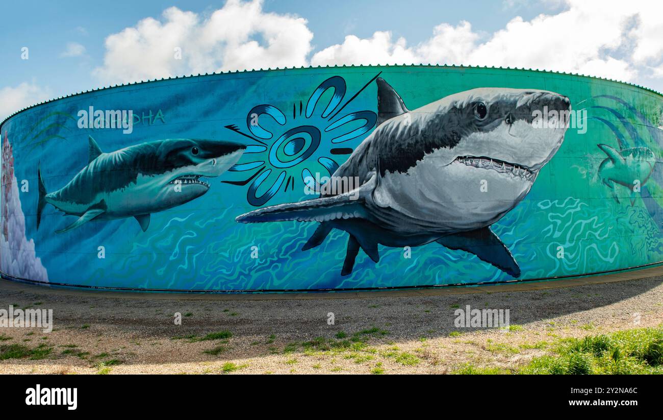 Water Tank Art von Mike Makatron et al., Minlacowie, South Australia, Australien Stockfoto