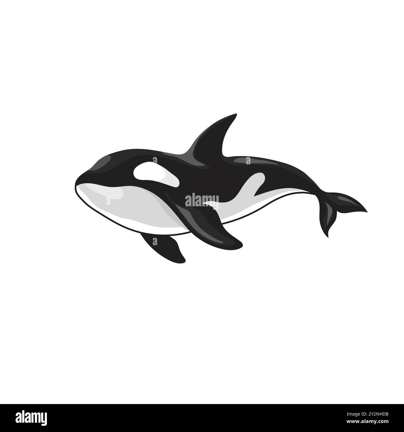 Vektor-Illustration eines Orca-Killerwals Stock Vektor