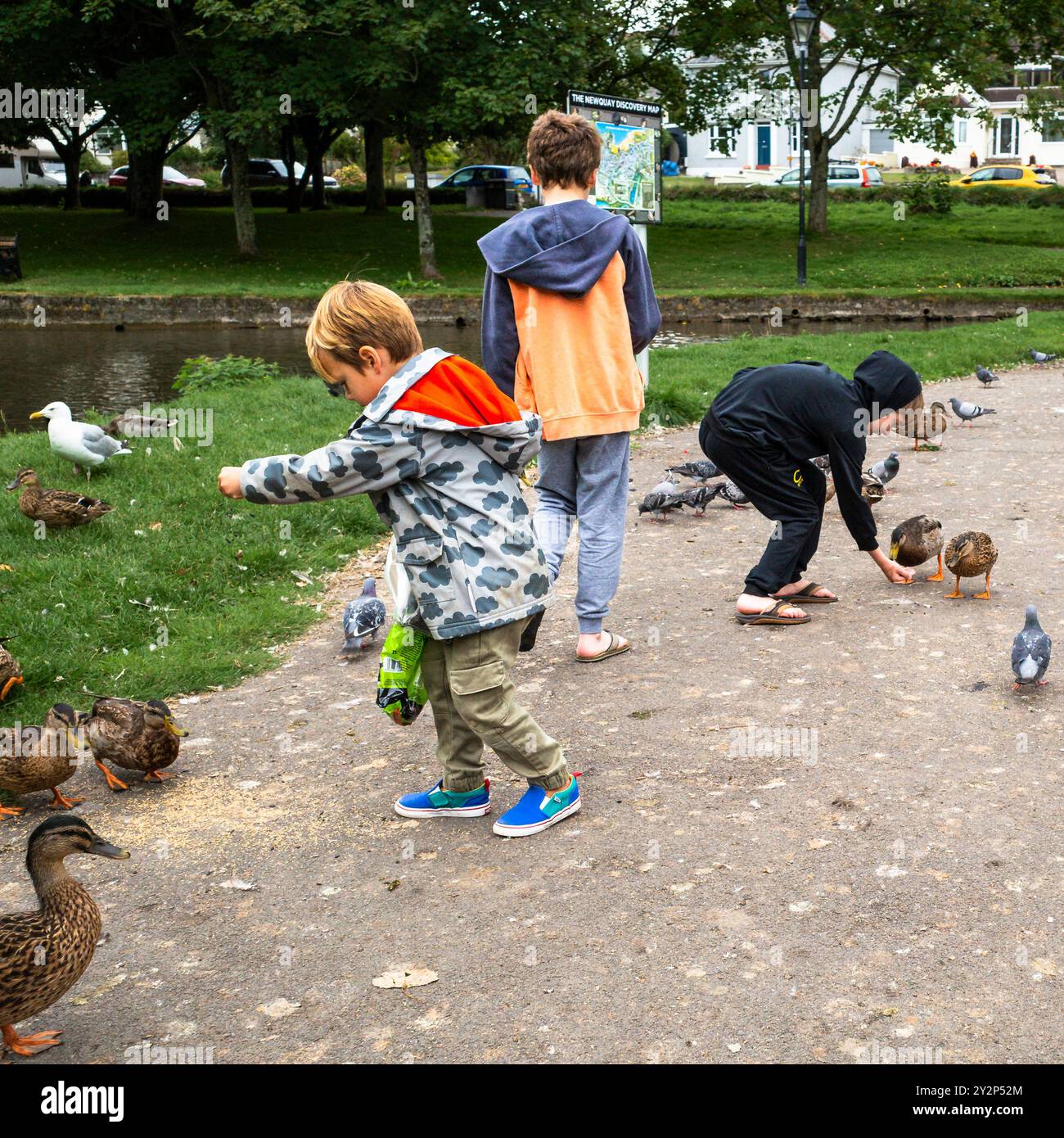 Kinder, die Wildenten und Tauben füttern, in Trenance Gardens in Newquay in Cornwall in Großbritannien. Stockfoto