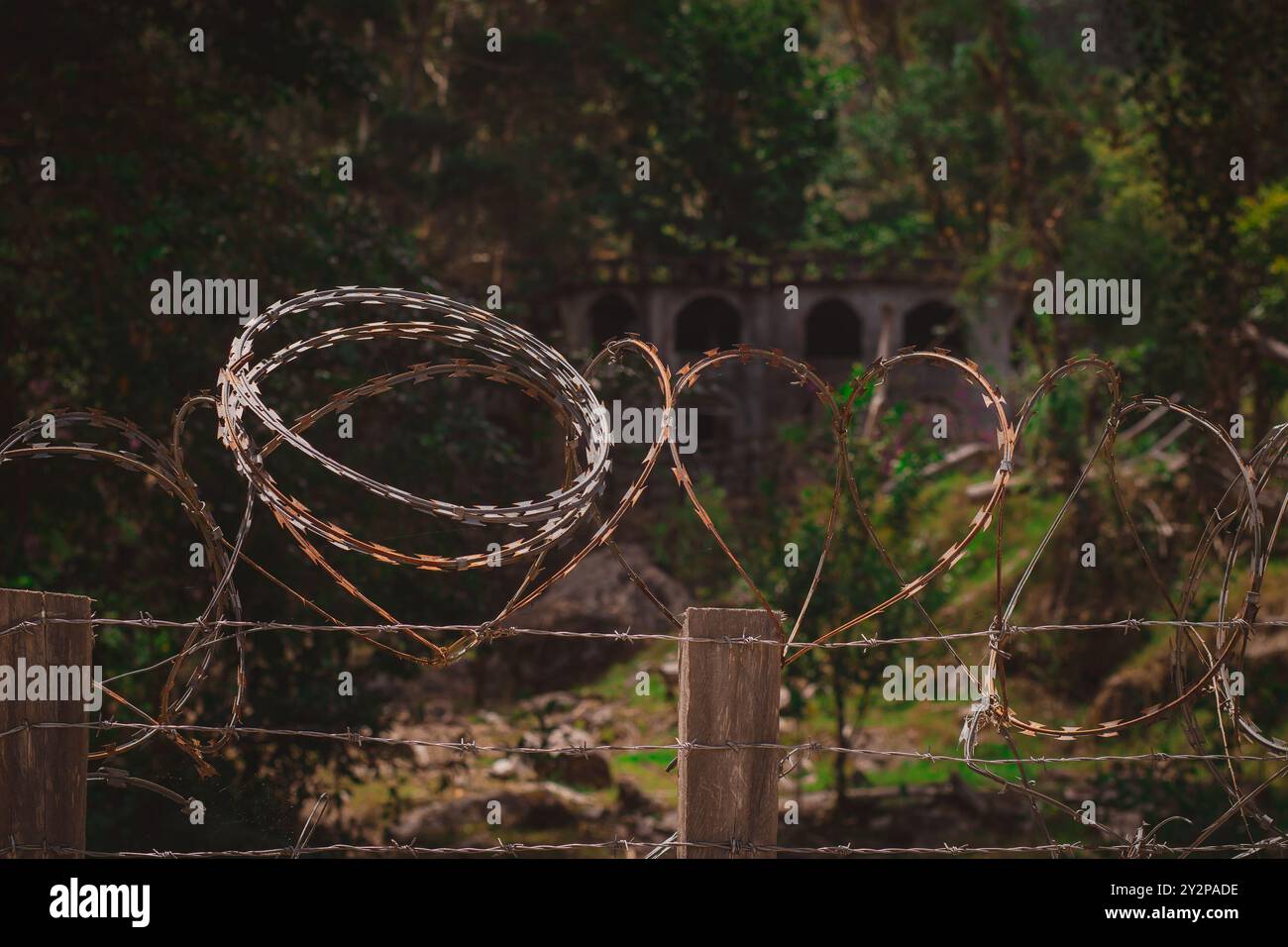 Stacheldraht an einem Zaun verhindert den Eingang zur Burg von Don Pepe am Stadtrand von Bouquete in Panama. Üppiger Wald umgibt die Burg. Stockfoto