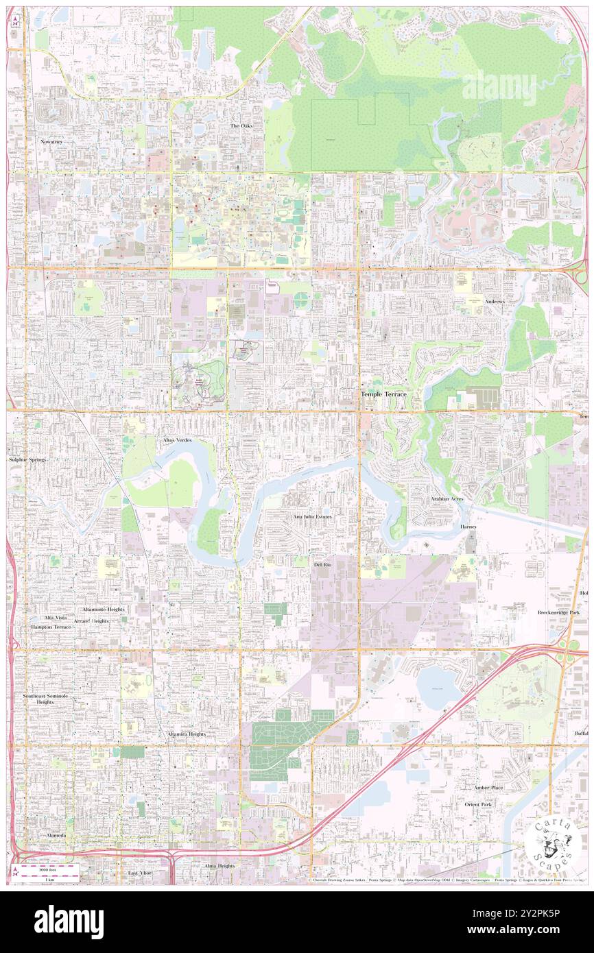 Vista Ridge, Hillsborough County, USA, USA, Florida, n 28 1' 38'', S 82 24' 15'', Karte, Cartascapes Map, veröffentlicht 2024. Erkunden Sie Cartascapes, eine Karte, die die vielfältigen Landschaften, Kulturen und Ökosysteme der Erde enthüllt. Reisen Sie durch Zeit und Raum und entdecken Sie die Verflechtungen der Vergangenheit, Gegenwart und Zukunft unseres Planeten. Stockfoto