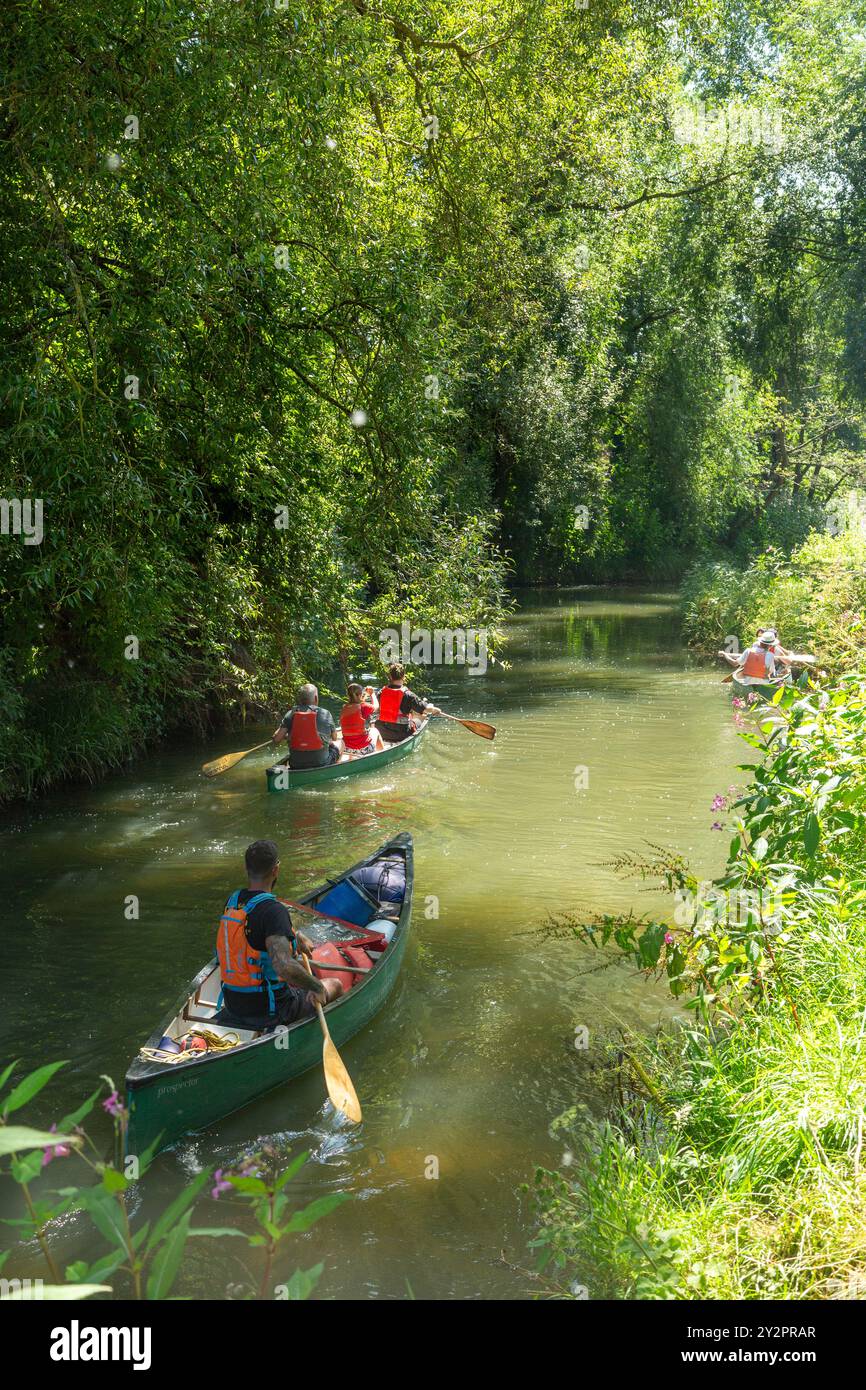 Paddeln Sie den Fluss Brit an einem heißen Sommertag in der Nähe von Bridport Dorset, England Stockfoto
