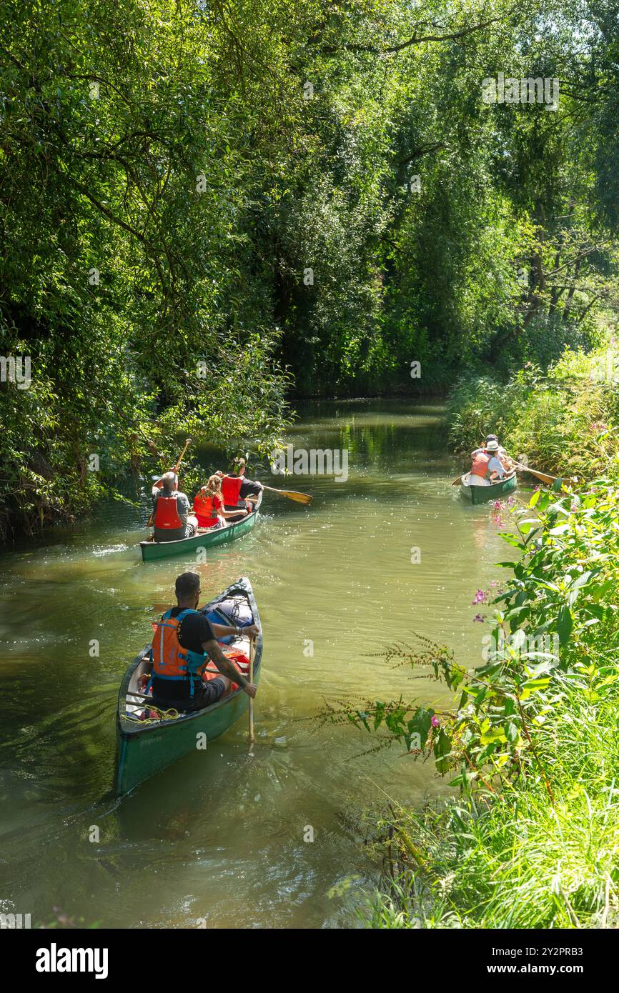 Paddeln Sie den Fluss Brit an einem heißen Sommertag in der Nähe von Bridport Dorset, England Stockfoto