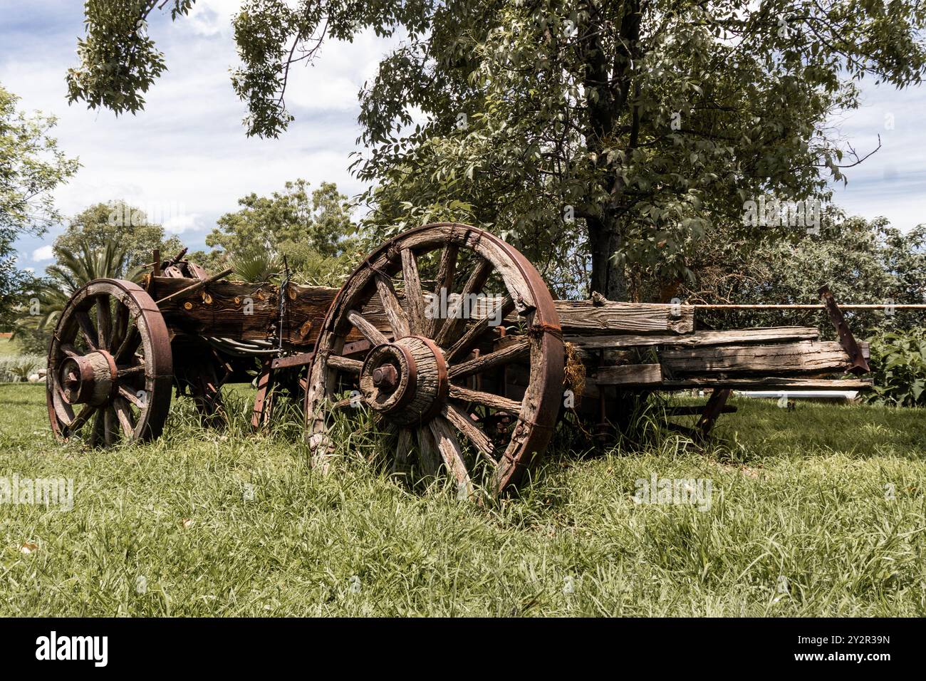 Ein verwitterter hölzerner Wagen mit rostigen Eisenrädern sitzt verlassen auf einem üppigen grünen Feld, umgeben von Bäumen. Das Bild fängt eine rustikale, historische Gebühr ein Stockfoto