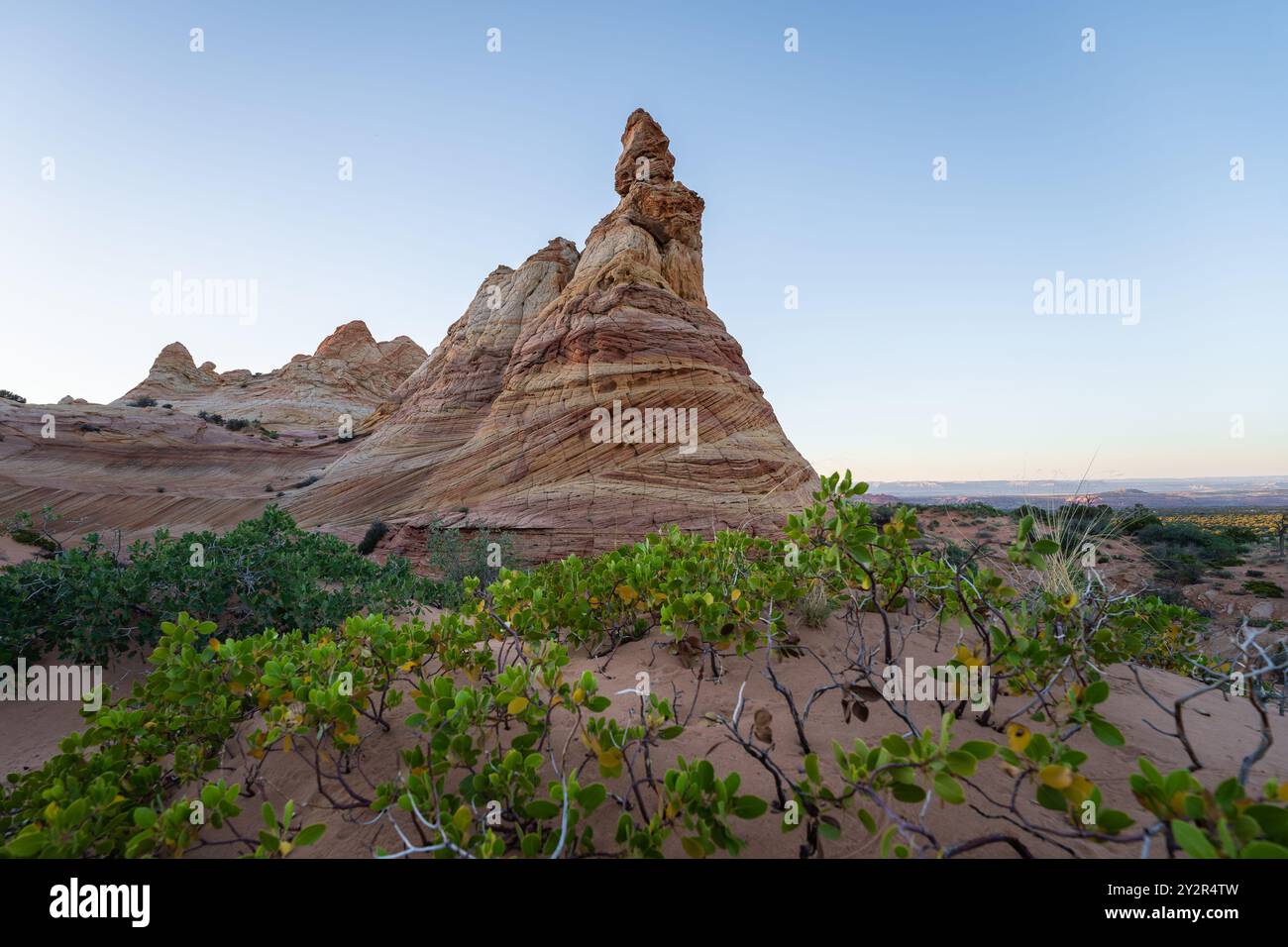 Der Sonnenaufgang beleuchtet die einzigartigen gestreiften Felsformationen der Coyote Buttes in der Paria Canyon-Vermilion Cliffs Wilderness, Arizona, USA, mit grüner Wüste Stockfoto