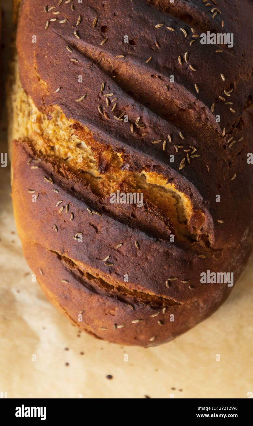 Nahaufnahme eines frisch gebackenen Roggenbrotlaibs auf Backpapier bei Tageslicht Stockfoto