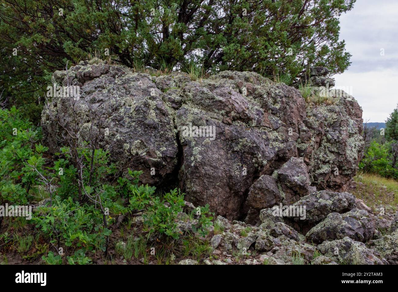 Große Gesteinsvorsprünge, vulkanischer Andesit, wahrscheinlich extrusiv, der über existierendes Gelände im Rio Arriba County, New Mexico, USA, floss Stockfoto