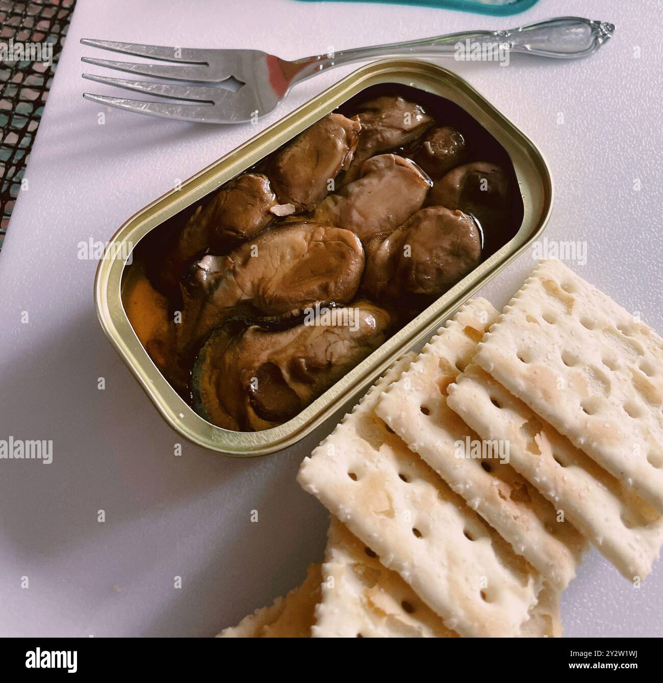 Nahaufnahme der offenen Dose mit geräucherten Austern und Salzkräckern auf weißer Platte zum Mittagessen, 2024, USA Stockfoto