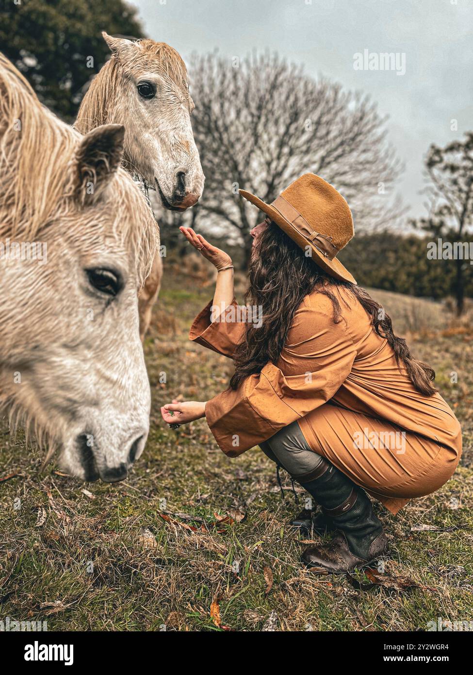 Eine Frau mit braunem Hut und braunem Kleid interagiert mit zwei weißen Pferden im Freien mit Bäumen im Hintergrund. Stockfoto