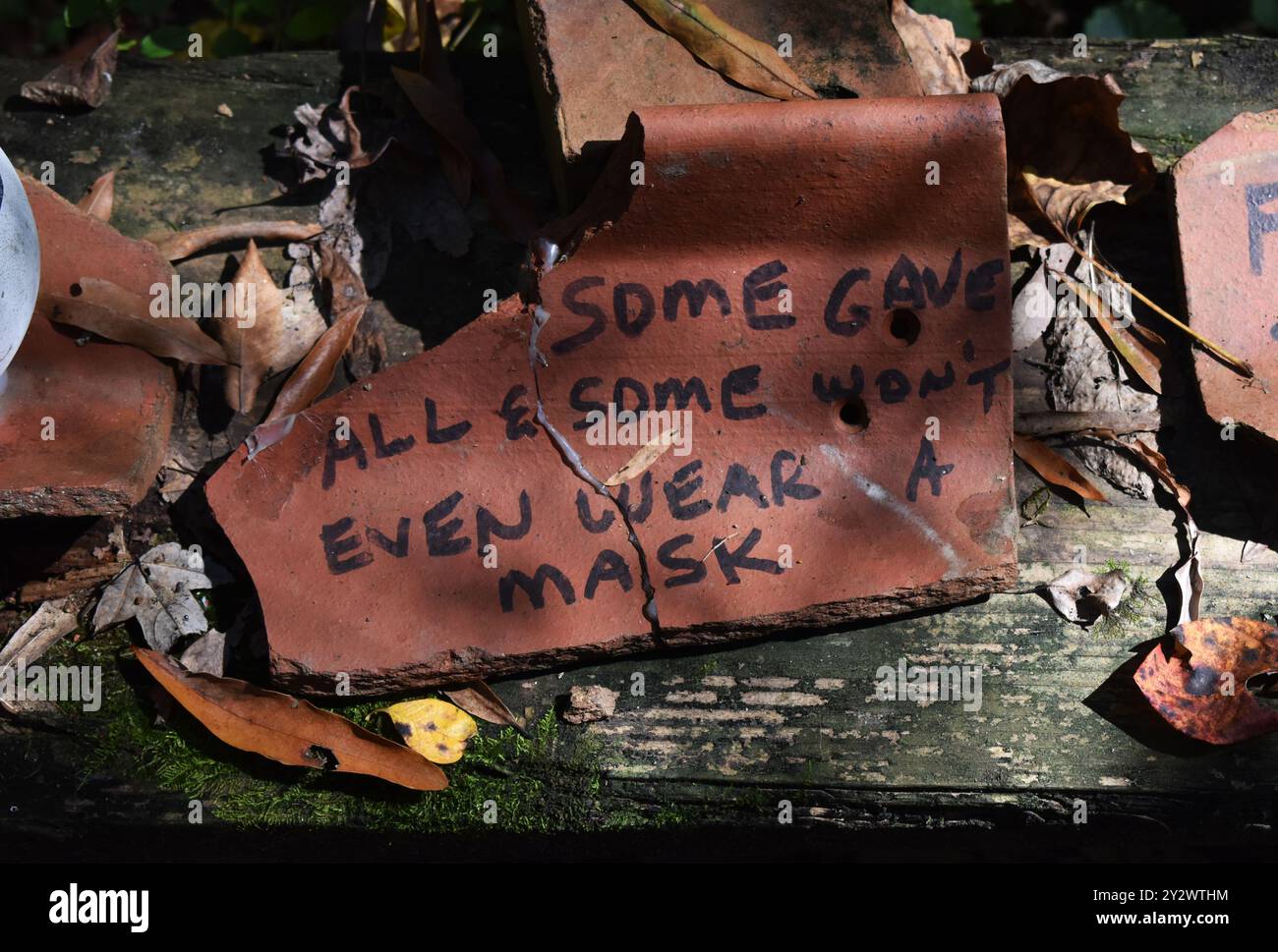 Ein Stück zerbrochener Tontopf mit einem Zitat auf dem Doll's Head Trail in Atlanta, Georgia - „einige haben alles gegeben und einige werden nicht einmal eine Maske tragen“ Stockfoto