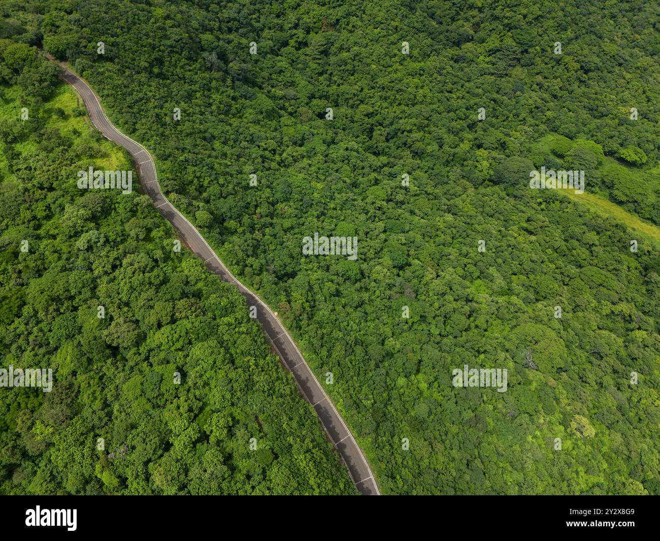 Bergstraße auf grünem Hügel Dschungelhintergrund bei sonnigem Tageshimmel Stockfoto