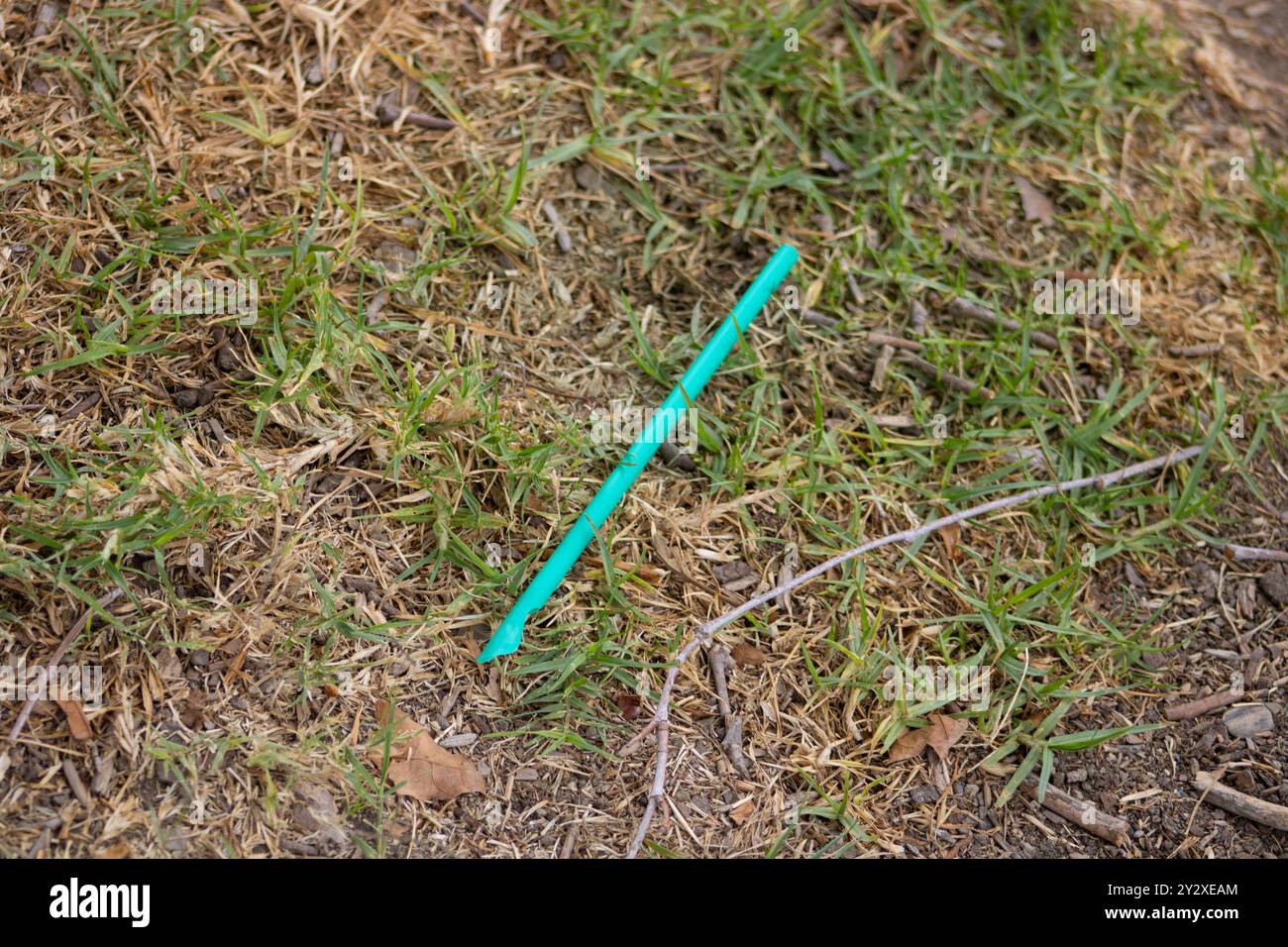 Grünes Kunststoffstroh, das im Gras liegt Stockfoto