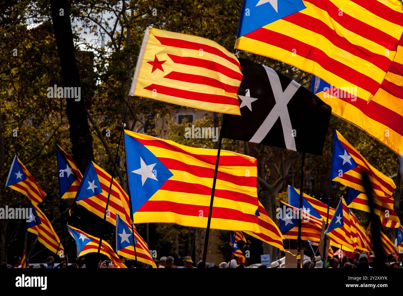 11. September 2024, Barcelona, Spanien: Tausende von Katalanen, die für die Unabhängigkeit eintreten, schwenken Eelada-Flaggen, während sie während des katalanischen Nationalfeiertags durch die Straßen Barcelonas marschieren. Quelle: Jordi Boixareu/Alamy Life News Stockfoto