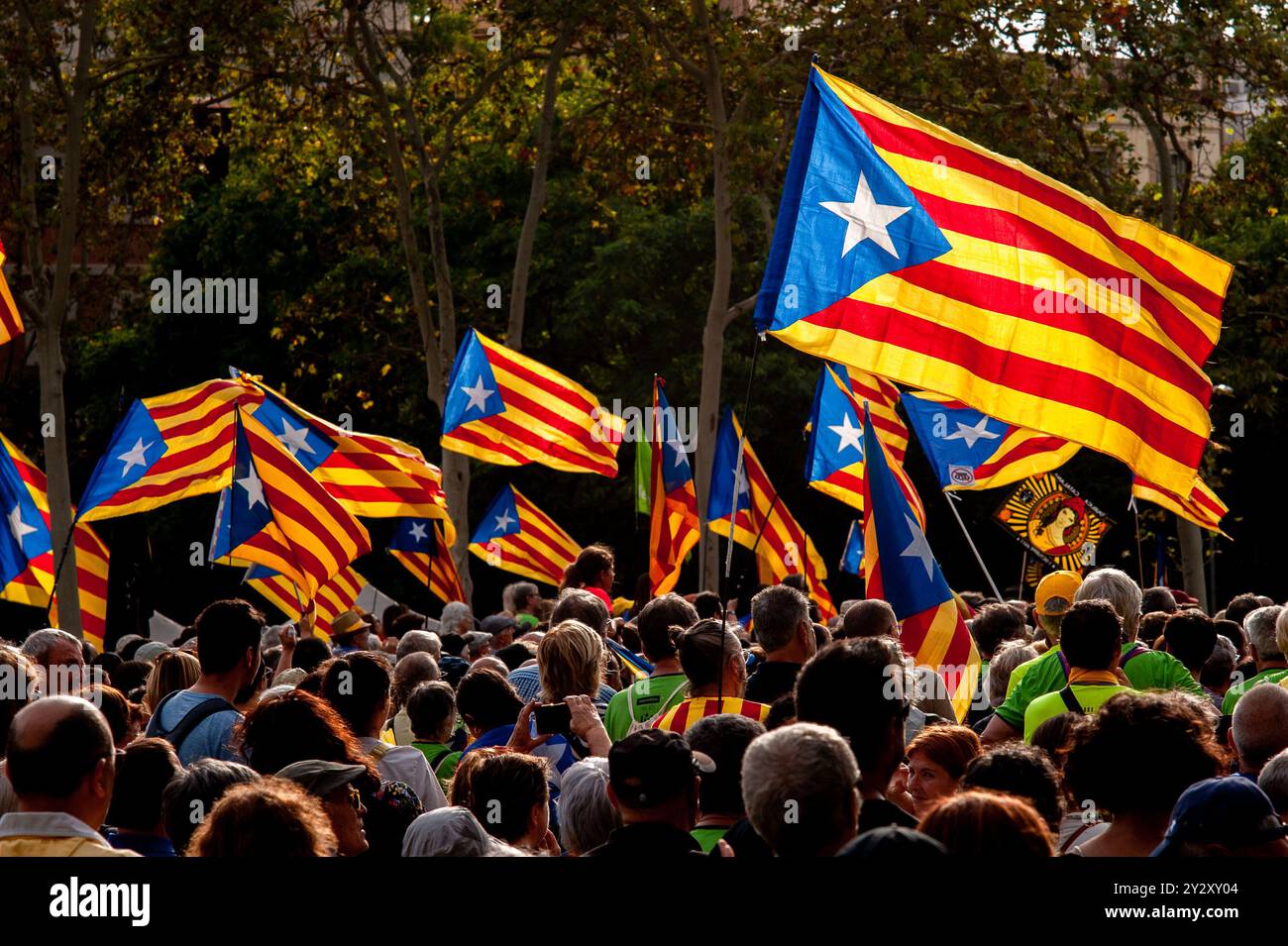 11. September 2024, Barcelona, Spanien: Tausende von Katalanen, die für die Unabhängigkeit eintreten, schwenken Eelada-Flaggen, während sie während des katalanischen Nationalfeiertags durch die Straßen Barcelonas marschieren. Quelle: Jordi Boixareu/Alamy Life News Stockfoto